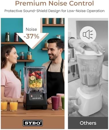 SYBO HS-210E Commercial Blender, 48oz