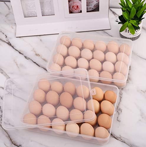 Sooyee 2 Pack Covered Egg Holders for Refrigerator,Clear 2X24 Deviled
