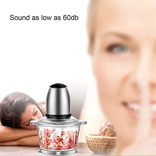 Electric Meat Grinder, 2L Capacity Glass Bowl