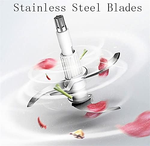Mini Electric Food Chopper, 2-Speed, 2.5L Glass Bowl