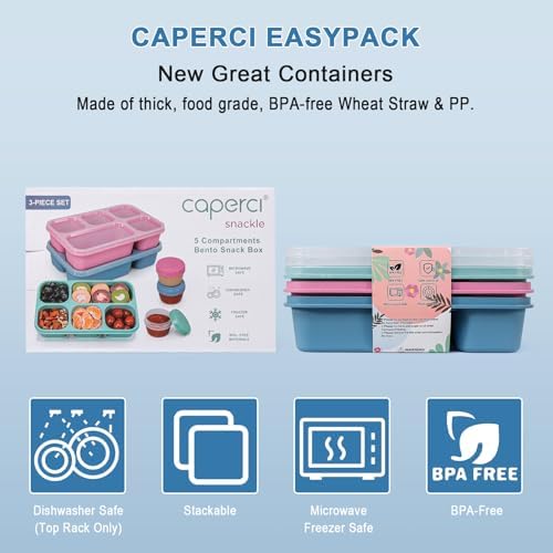 Caperci Bento Box Adult Lunchable Container with 3pc Dressing Cups