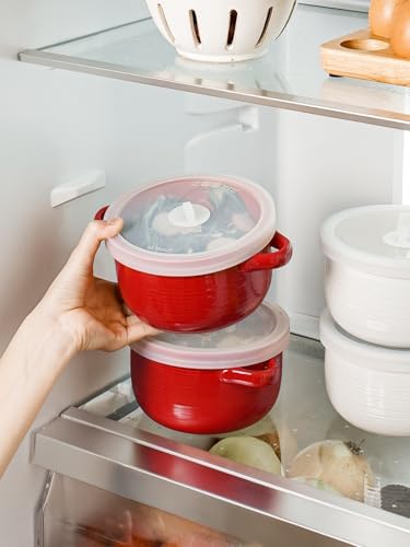 LE TAUCI 28 oz Soup Bowls with Handles and Silicone Lids, Set of 2 and