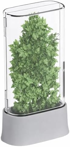 vacane Fresh Herb Keeper for Refrigerator