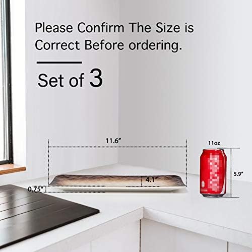 Eglaf 11.5'' Ceramic Platters, Rectangular Sushi Plates, Set of 3
