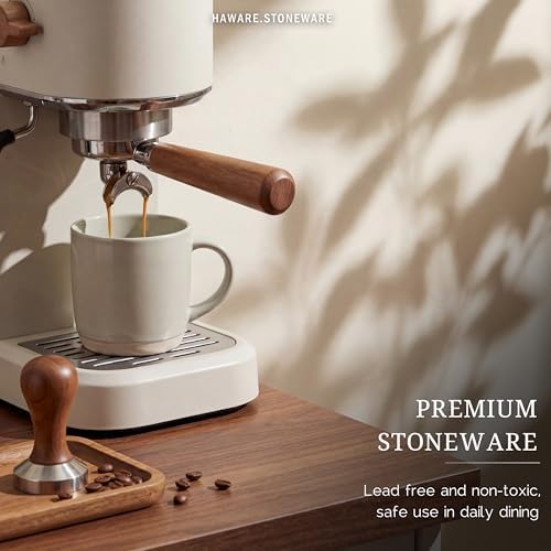 HaWare 13OZ Coffee Mugs with Handles, Stoneware Coffee Cups for 4