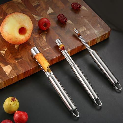 4-in-1 Stainless Steel Fruit Corer Set, Multi-Size Fruit & Pear Core