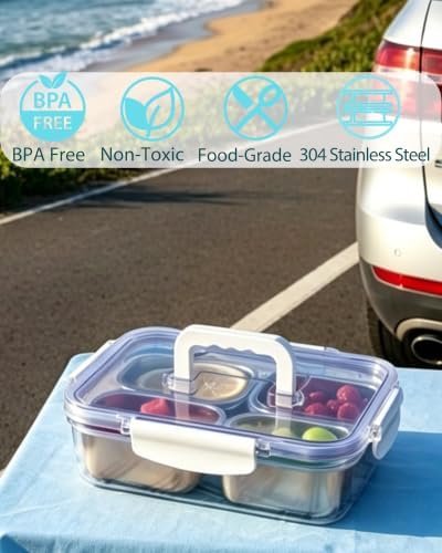Snackle Box Container, Small Stainless Steel Snack Tray with Lid and