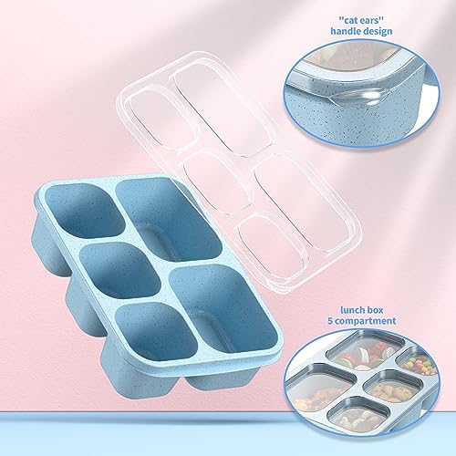 Bento Box Adult Lunch Box - 4 Pack, 5 - Compartment Meal Prep