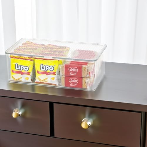 ZEXALOR Clear Plastic Storage Bin with Lid