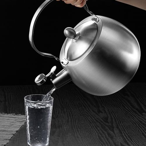 4.2 Quart Tea Kettle, 316 Stainless Steel