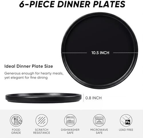 E-far Dinner Plates Set of 6, 10.5 Inch Stoneware Dinner Plate, Black