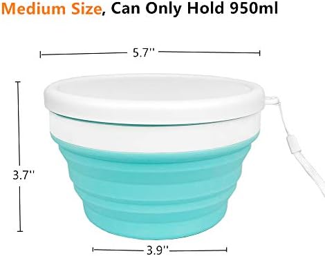 CARTINTS Collapsible Bowls With Lids Silicone Food Storage Containers