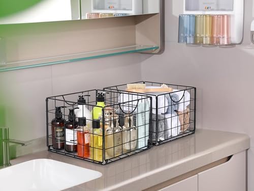 DINGTAI Metal Wire Basket Organizer Foldable Set of 6, Food Storage