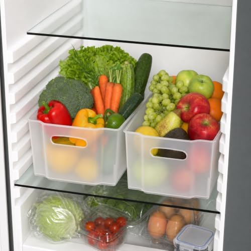 Plastic Pantry Organization and Food Storage Bin, 4 Pack