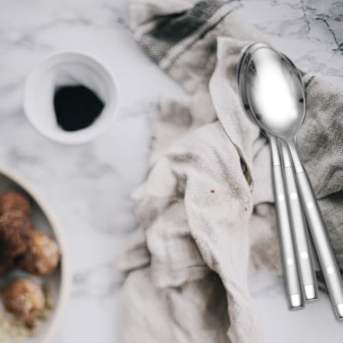 Hampton Forge Shangrila Frosted 20-Piece Silverware Set for 4