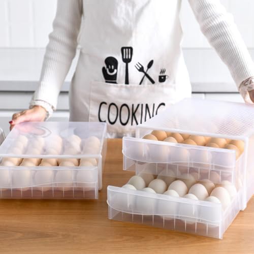 Household Egg Box with Lid, Dual-layer Drawer Style PP Tray