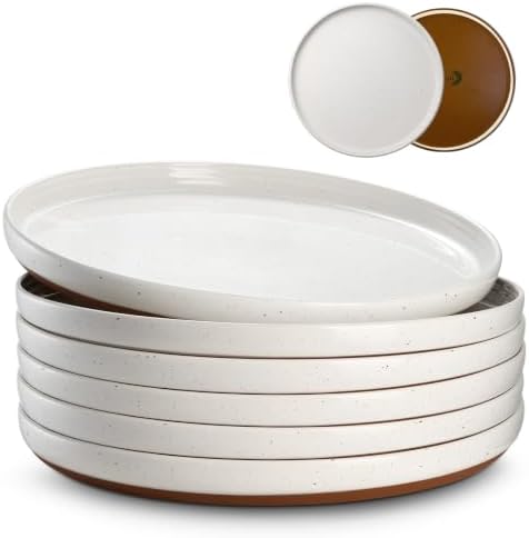 DOWAN 10.5" Large Dinner Plates Set of 6, High Edge Ceramic Plate