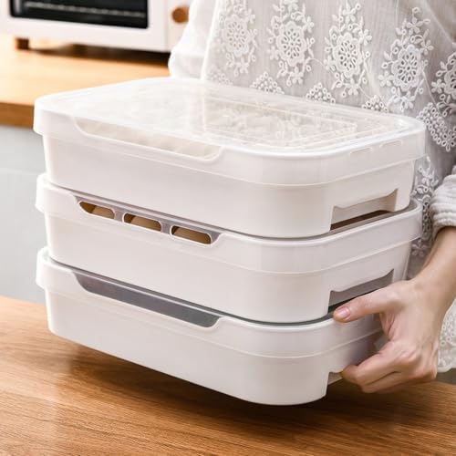 Egg Storage Box PP Plastic Egg Tray Lid for Refrigerator Storage