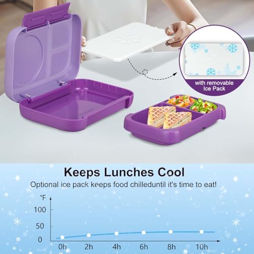 MAISON HUIS Chill Bento Lunch Box for Kids Adult with Ice Pack 3