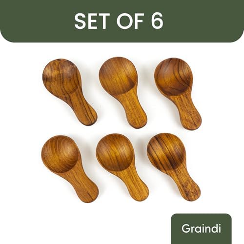 Teak Wood Spice Spoons, Set of 6