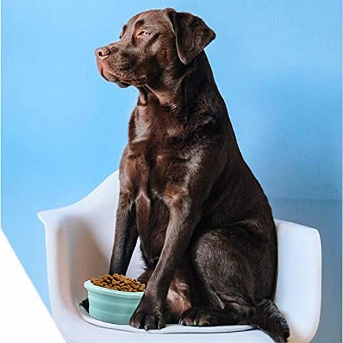 Luter 2 Pieces Collapsible Dog Bowls Silicone Food Water Travel