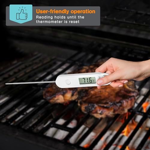 Polder Stable-Read Digital Thermometer