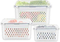 3 Pack Fruit Storage Containers for Berry and Lettuce