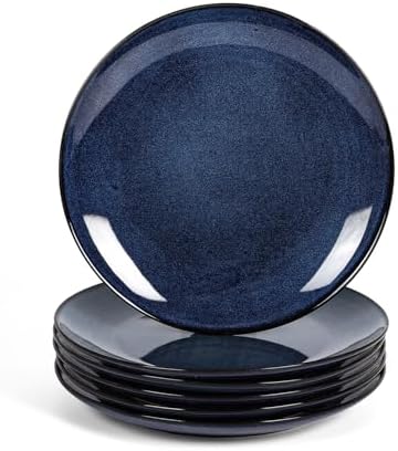 vicrays Ceramic Round Plates Set of 6 - Porcelain 10 inch Dinner