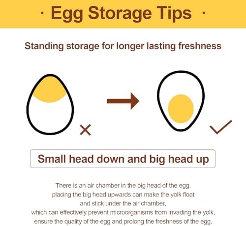 Egg Holder for Refrigerator, 60 Eggs, Clear Drawer