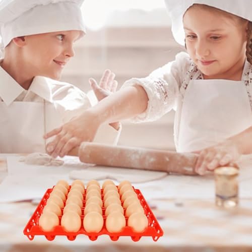 12 Pack Plastic Egg Trays, 30-Egg Flats