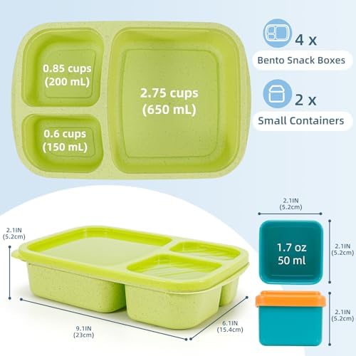Caperci Bento Lunch Box Containers for Adults & Kids