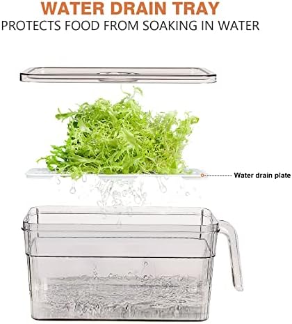 2 Pack Produce Storage Containers for Fridge, 10'' x 5.3'' x 5.2''