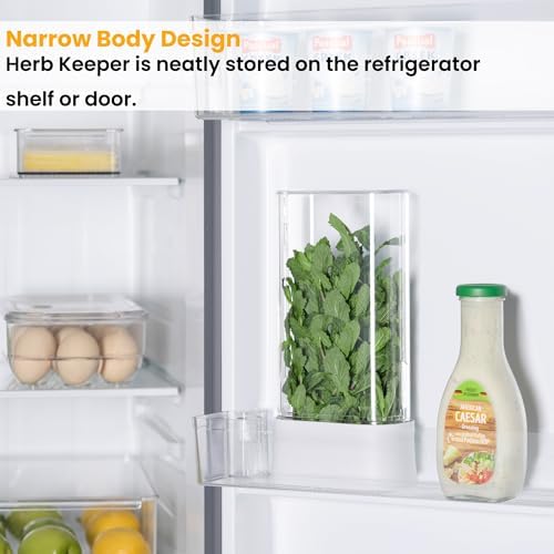 vacane Fresh Herb Keeper for Refrigerator