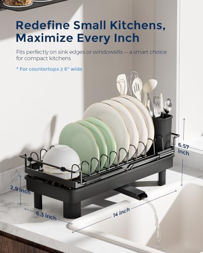 Nacial 2-in-1 Small Dish Drying Rack