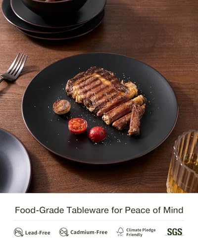 Famiware Venus Plates and Bowls Sets with Rim, Stoneware Dinnerware for 8