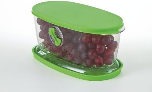PrepSolutions Fresh Fruit & Vegetable Keeper, Green – Airtight