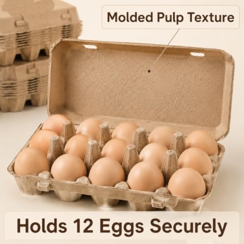 24 Pack Paper Pulp Egg Cartons