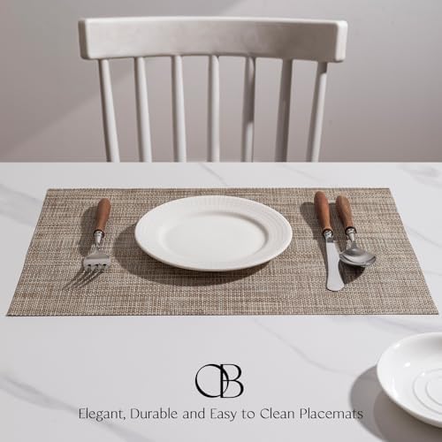 Placemats Set of 4 - Easy Clean Woven Vinyl Placemats for Dining