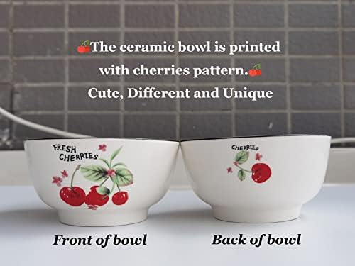 5 Pack Cherry Pattern Porcelain Bowls - 4.64" x 2.36" Salad & Ramen