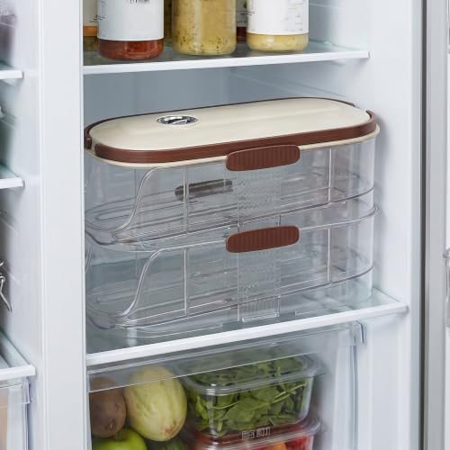 Refrigerator Egg Holder with Lid and Handle, 2 Tier Plastic Rack