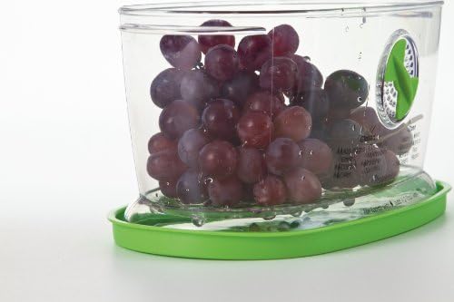 PrepSolutions Fresh Fruit & Vegetable Keeper, Green – Airtight