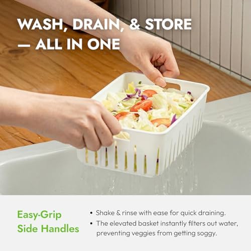 carrotez 3.0 Cup Produce Saver Container for Fridge with Colander