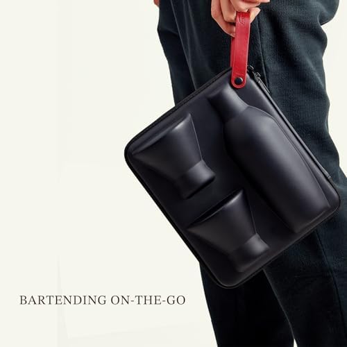 KITESSENSU Cocktail Shaker Set with to-Go Carry Case & 2 Martini