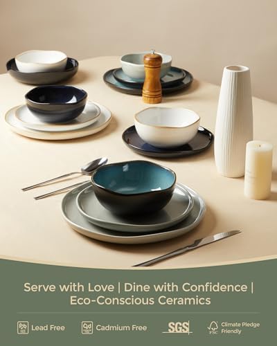 Pokini Stoneware Dinnerware Sets for 4, 12Pcs Ceramic Plates and Bowls
