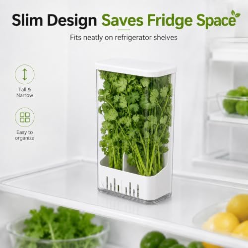 Herb Keeper Storage Container with Removable Partition