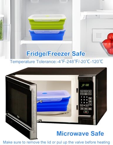 Extra Large Collapsible Silicone Food Storage Containers With Lids