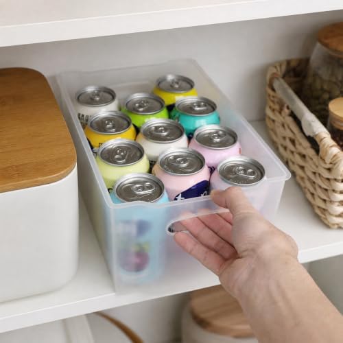 Plastic Pantry Organization and Food Storage Bin, 4 Pack