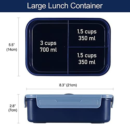 Caperci Classic Bento Box Adult Lunch Box for Older Kids - Leakpoof