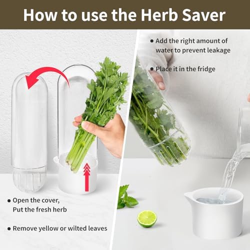 2PCS Herb Keeper Containers for Refrigerator