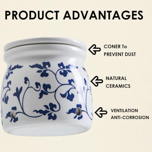 Terracotta Garlic Storage Container, Ceramic Keeper for Kitchen